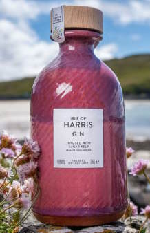 Harris scotch Gin Ceilidh Bottle Pink 2026 0,35l 45% vol. Fl Algen outer hebrid sugar kelp celtic